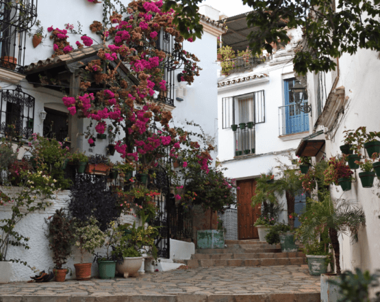 What to do in Estepona: A small paradise on the Andalusian coast