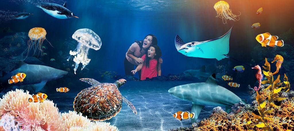 Discover the best children's activities on the Costa del Sol. Aquarium Sea Life