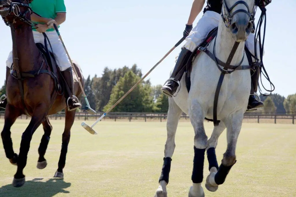 Two adult men playing polo